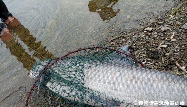 诡异|只要去钓鱼,这些诡异的糗事,就必然会发生