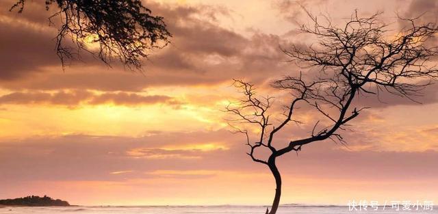 风景画|这首诗只有28个字,却连用了9个“一”,意境高远像极了风景画