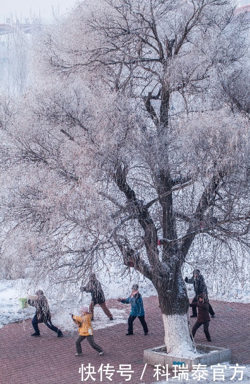 心绞痛发|又到了心梗高发季,这篇冬季心脏保命指南你必须要看