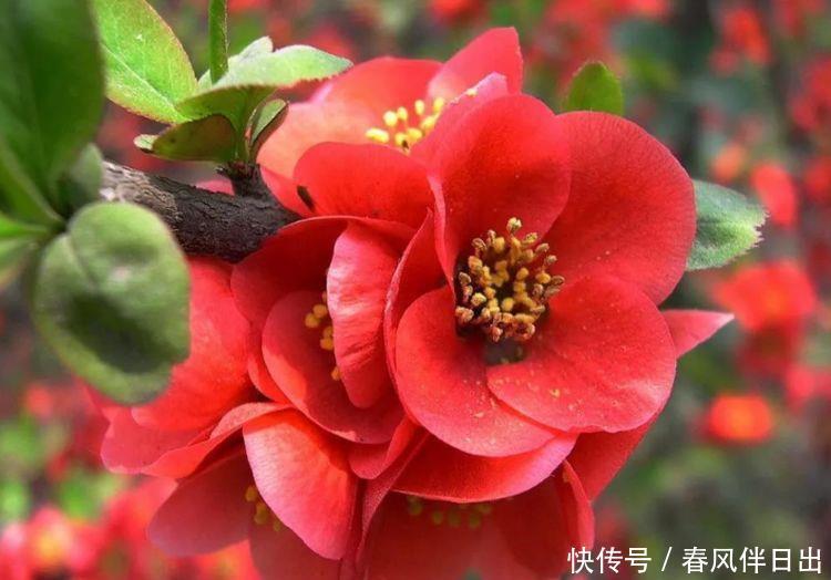 阳历6月9日阴历多少 阳历6月9日阴历多少