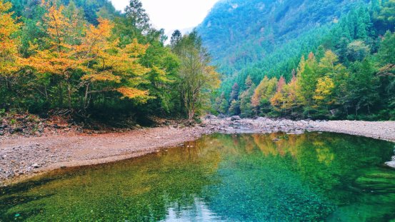 广电旅游体育局|51淡竹十三都坑