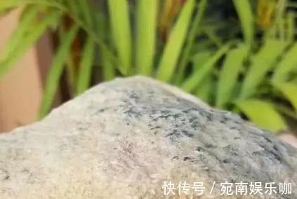 冰黄翡&出自缅甸一块全身脱沙发黑的赌料,取出了完美的冰黄翡一镯两牌