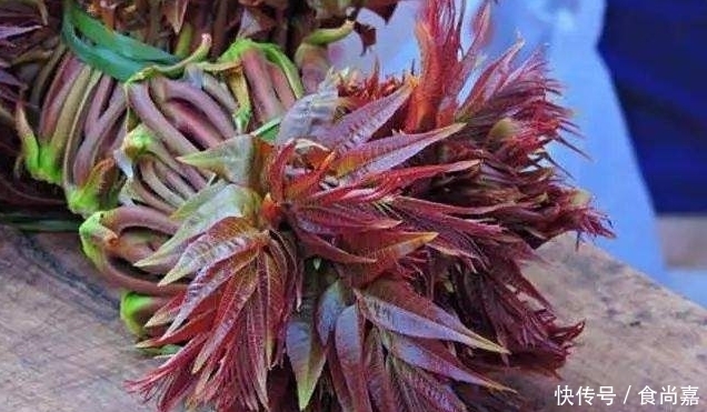 吃香椿,焯水还是不焯水?别随便吃,和大厨学正确做法,又香又嫩