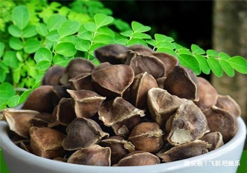 宿便|女性不想老太快,多食4种食物,改善体质,滋补身体,滋养肌肤!