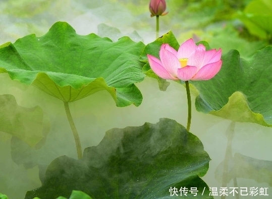 月份|算命的说,11月份这3生肖日进斗金,行大运,挣大钱