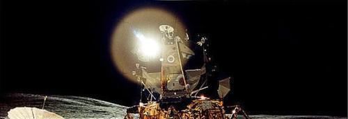 新手|月季开花越来越少?教你一招,分枝多,花量翻倍,新手也会养