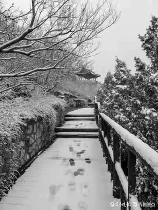 元宵节|冒雪登上千佛山，一览泉城美景、北国风光