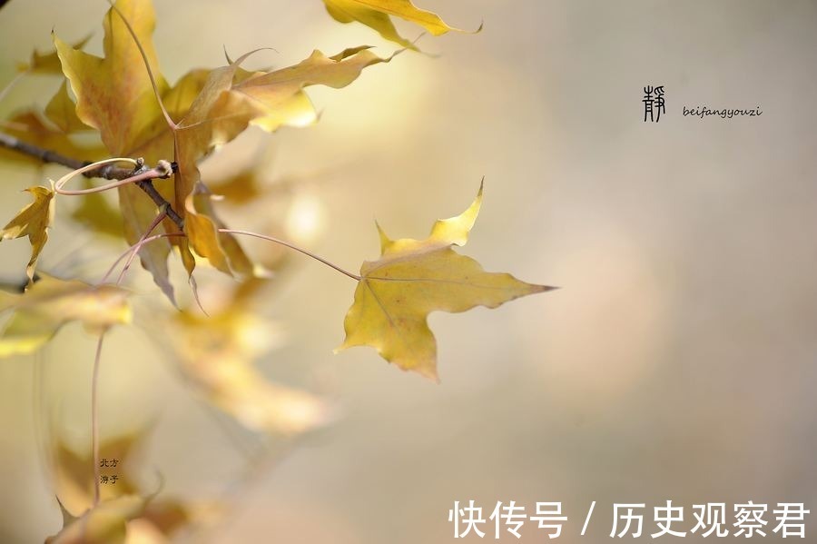 小舍@南怀瑾:人生由衰转盛的迹象,出现这六种情况预示开始变好