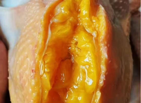 杀鸡时,鸡肚子里有一大块“黄油”,是丢掉还是吃进去?涨知识了