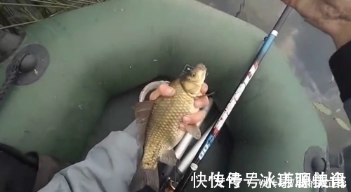 打窝2天后再去钓鱼,每一条鲫鱼都很肥,是野生鲫鱼?