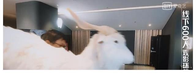 又一檔寶藏綜藝，這也太敢拍了吧…