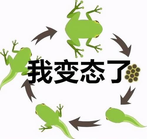 皮肤干、痒、泛红…敏感肌「攻略」，看这一篇就够了