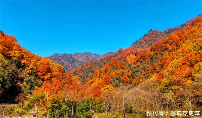  秋天|秦巴山区的旅游景点，夏天是天然氧吧，秋天是中国红叶之乡