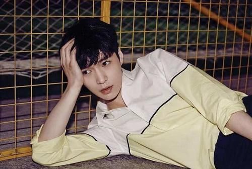 《向往的生活5》将大改，黄磊曝料厨房重任有接班者，新人小友确定要来