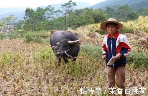 悲剧|“我养你小，你养我老”50岁父母强行索要生活费，儿子最终酿悲剧