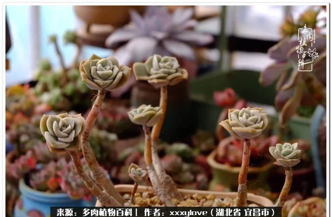 时光匆匆,一闪而逝,这世间万物的美,都值得被记录!