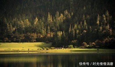 太精明的男人,格局都不大!(深度好文)