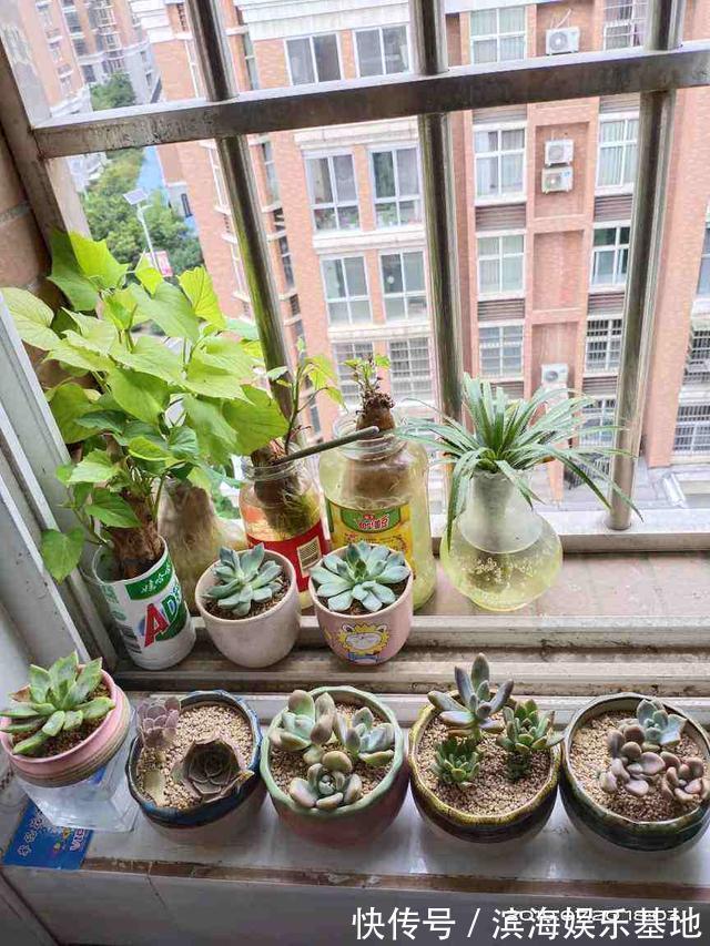 油烟|家里这两扇门,最好是经常关闭,有利于健康