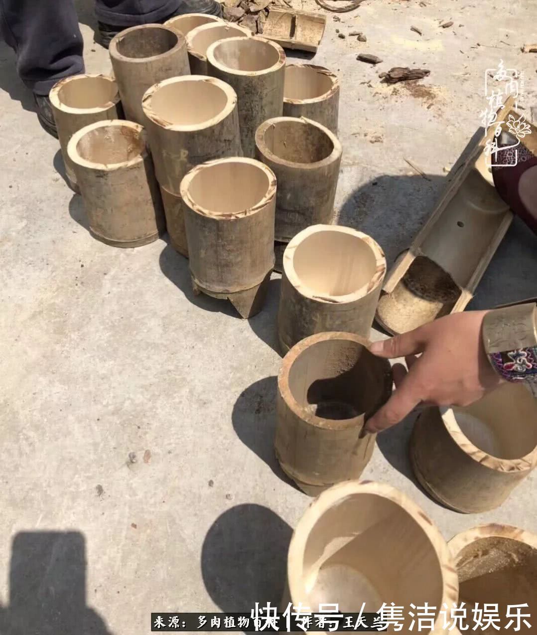 多肉遇上枯木木花盆,姑娘自己造!