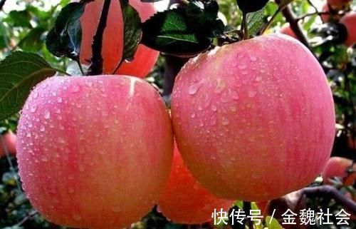 安神助眠|夏天常吃以下三种水果,是女性的不二选择,安神助眠,脸色更红润