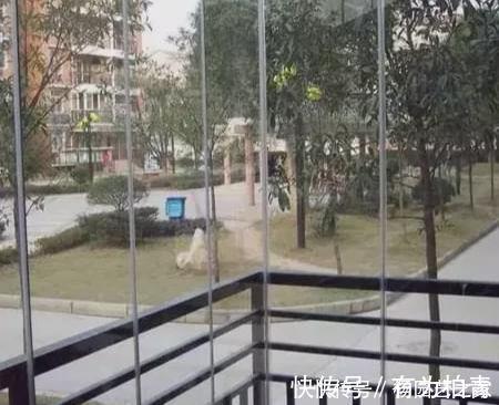 越来越流行这样封阳台,美观又通风,后悔我家装错了!
