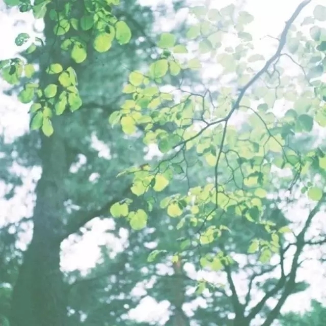 君子|《周易》中的10句天机之言,天下至理,通彻古今