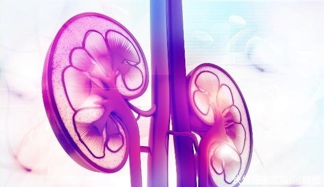 起常|男人肾虚怎么办?晨起常做“2动作”,有助提升“肾动力”