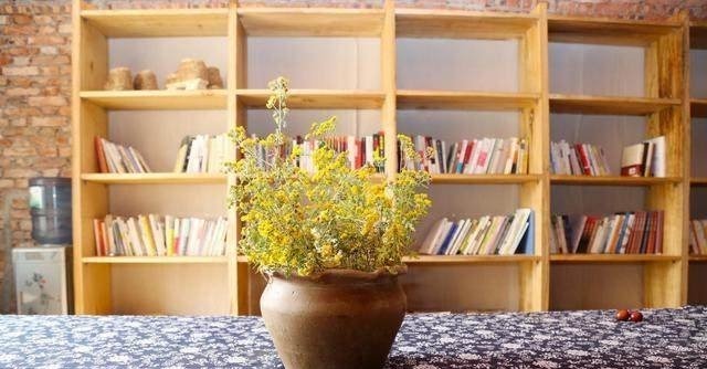 豪宅|单亲妈妈弃百万豪宅回农村住窑洞,走红网络!