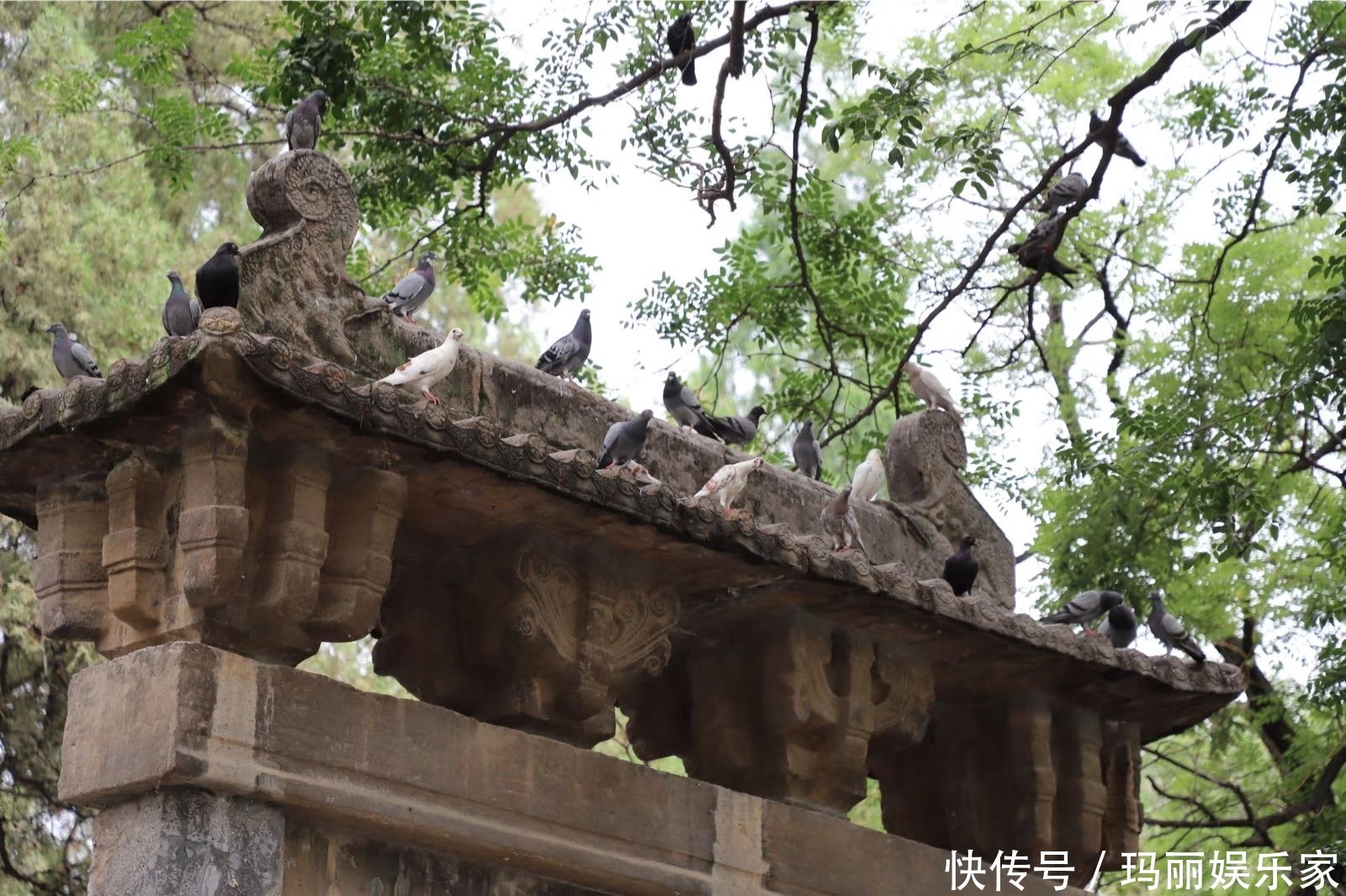 步行三十里去寺院，却因一顿素斋大闹，她竟说出吃素的真正意义！