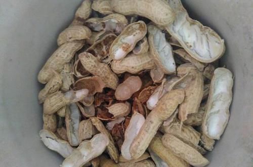 不起眼的几种食物，不妨坚持吃，保护眼睛，促进消化，吃了更年轻