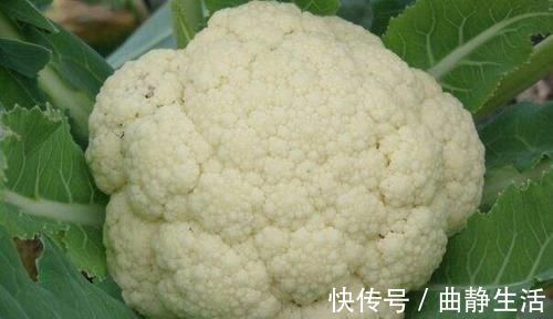 排毒抗衰|几种很常见的食物,坚持常吃,排毒抗衰,养护血管,营养又健康