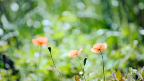 事业|出生这4个月的孩子,以后事业顺畅,还孝顺家人,看看有没有你