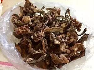 朋友送的干野蘑菇怎么吃？做成什么菜比较好？