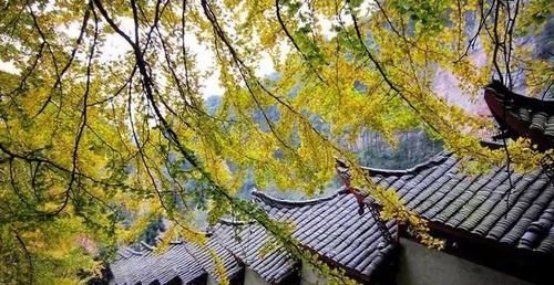 山居是福|走进十大名山公园·天目山 |山居是福\＂,\＂i10\＂:\＂走进十大名山公园·天目山