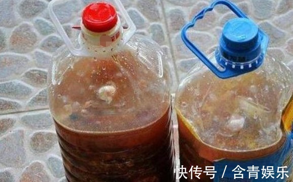 养“牡丹吊兰”乱浇水可不行,改用这样去浇灌,叶片饱满,花更多