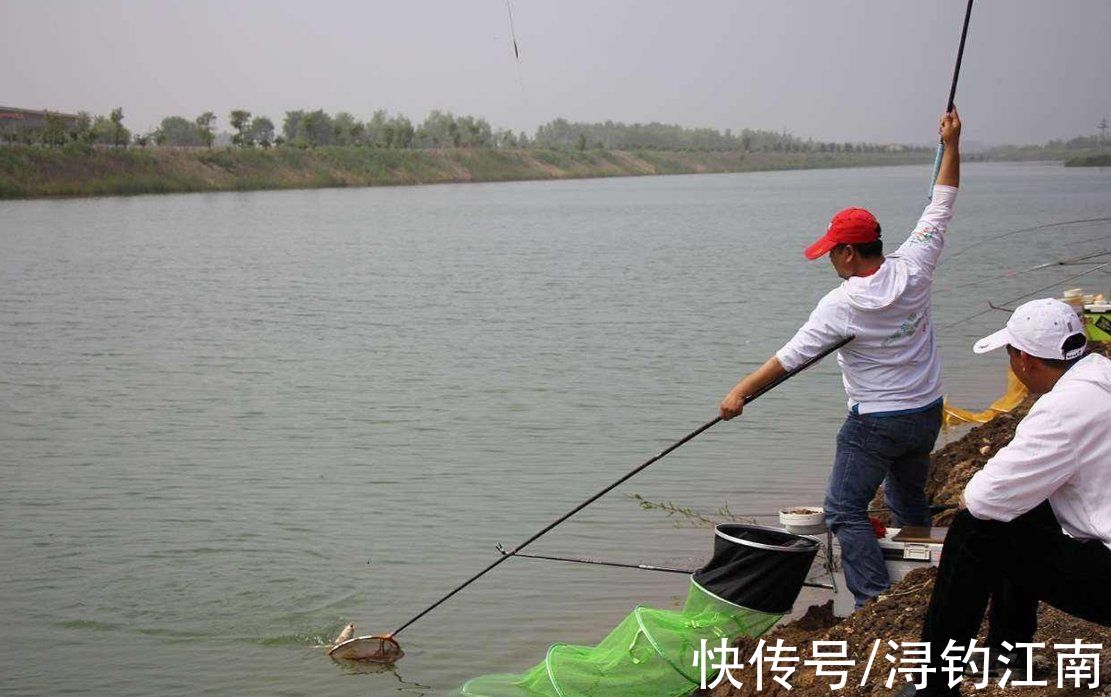 钓鱼|入秋后，要想钓获大板鲫，不搞清楚这4点，劝你莫往河边跑