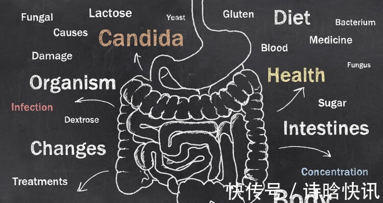 排出体外|把癌细胞注射到健康人体内,会不会得癌症美国医生做了这项实验