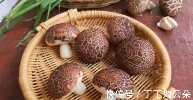 铁含量是菠菜的30倍！被誉为长寿菜，秋季用它包饺子养颜又美味！