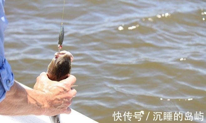 我们在垂钓时说话,真的会吓跑鱼吗?