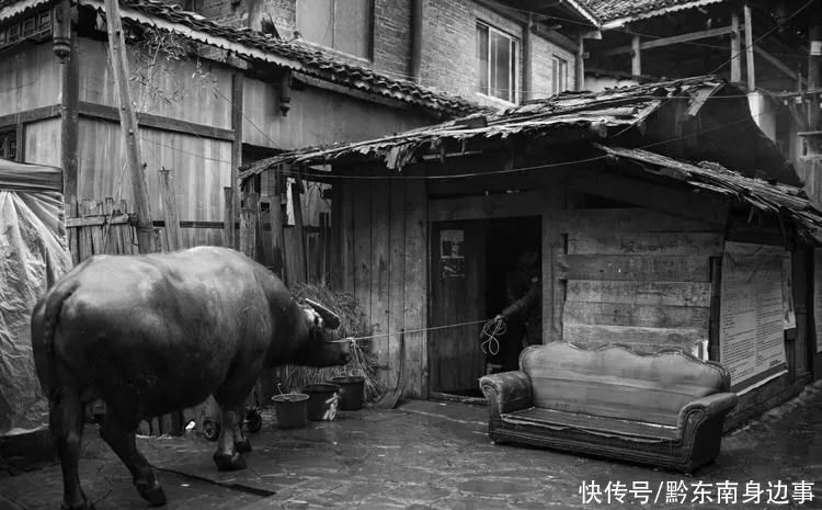 侗乡|情系侗乡访侗年