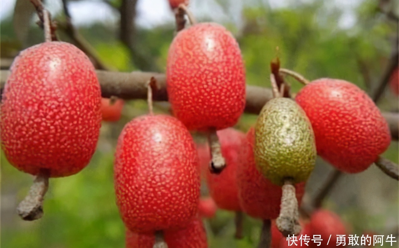 女性可以多吃三种食物，排毒消脂，美容养颜，爱吃就赚了