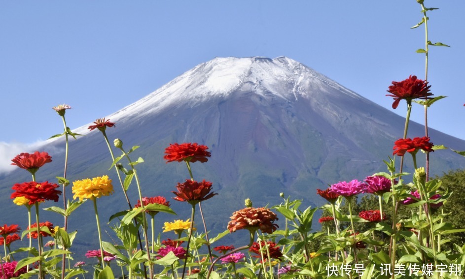 绿色小镇|日本藤泽:智慧能源样板