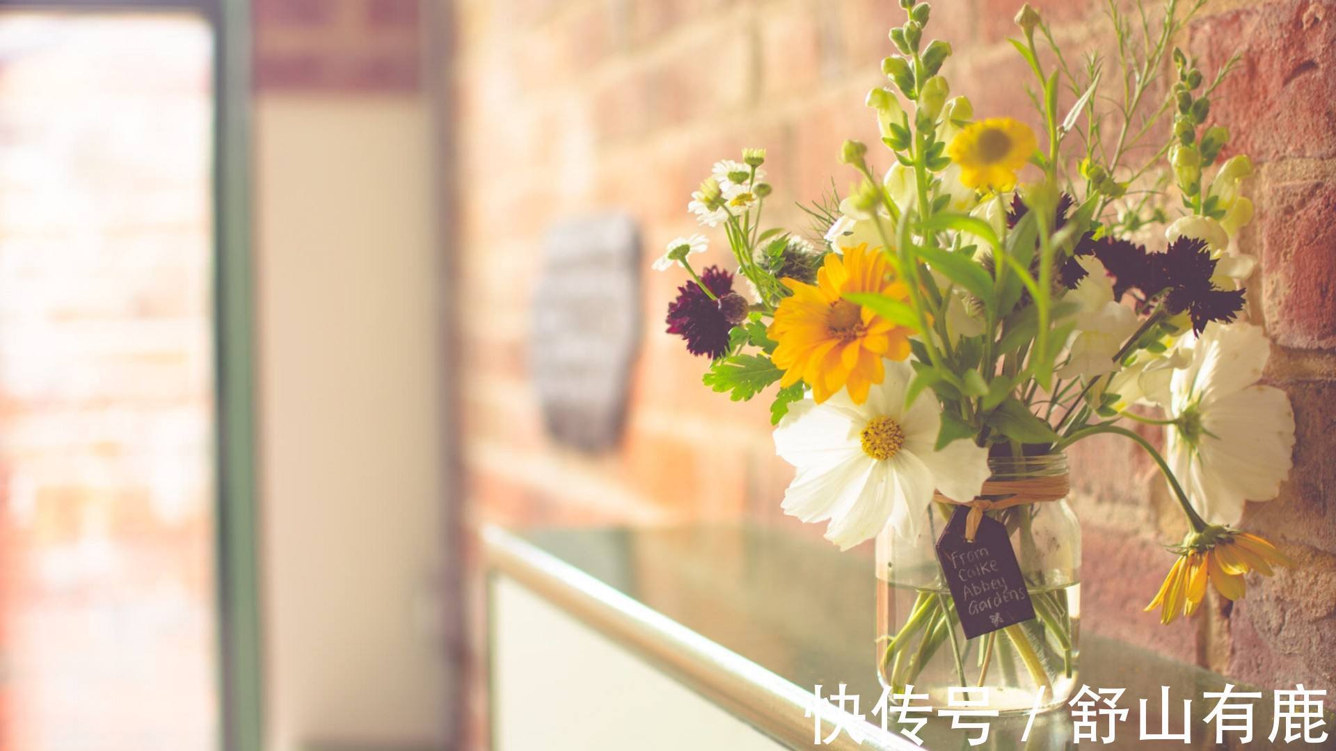 朴素&“人若害你,天必救你”:这些人,哪怕处于低谷,也能苦去福来