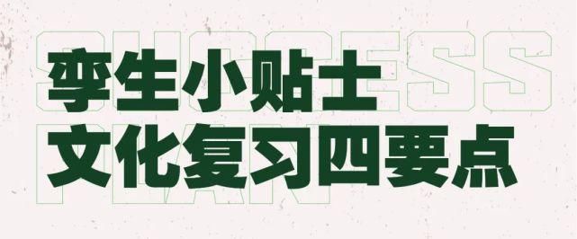 400分的美术生突然回到学校有点慌？看看这个