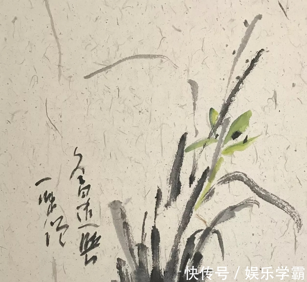 写意花鸟画!有禅意的中国画|一味僧写意花鸟画