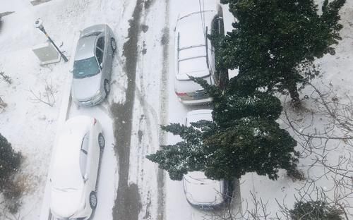 中年|正月初六,威海的雪:粉妆玉砌,银装素裹