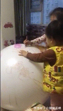 |搞笑GIF:这货就这么在这玩半天了,连小鱼干都不吃