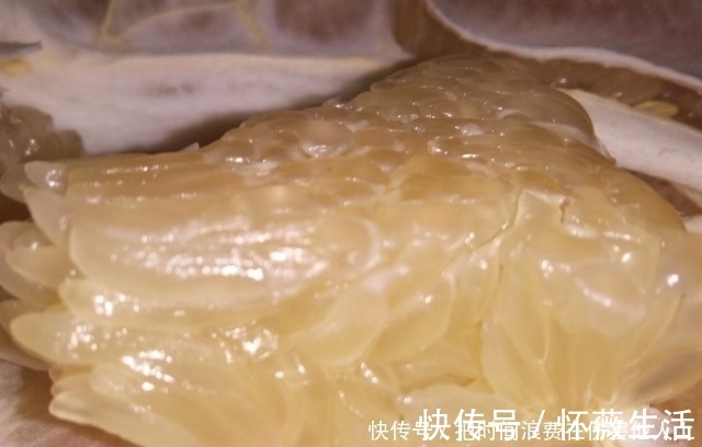 孕妈|怀孕后,孕妈平时尽量多吃4物,或促进宝宝智力发育,别不舍得