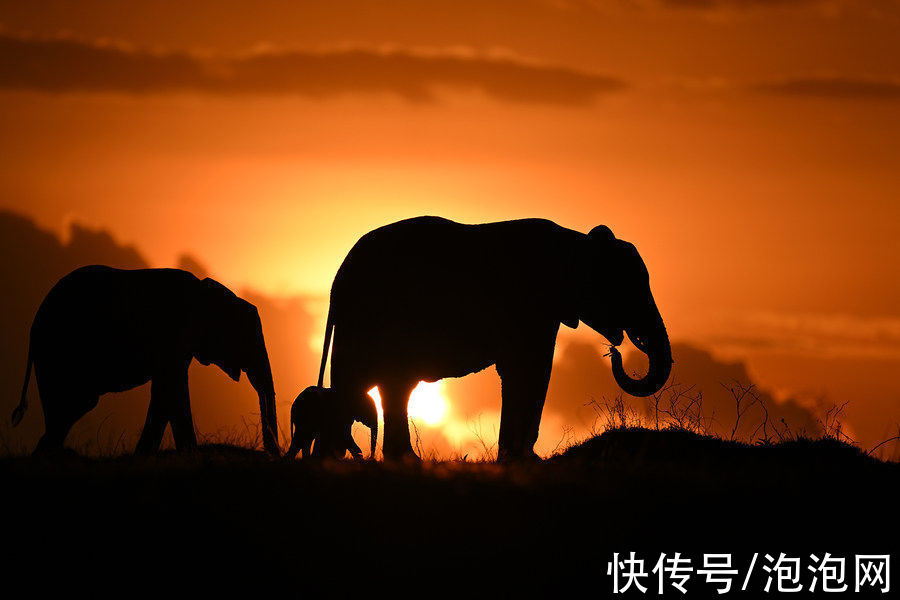 样片|高素质！尼康Z 400mm f/2.8 TC VR S实拍样片