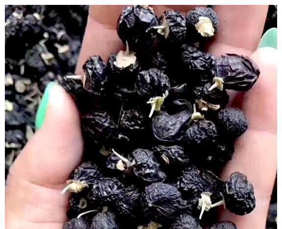 蒲公英根|糖尿病不要怕,这些天然“胰岛素”!早晚吃一些,平稳血糖不升高